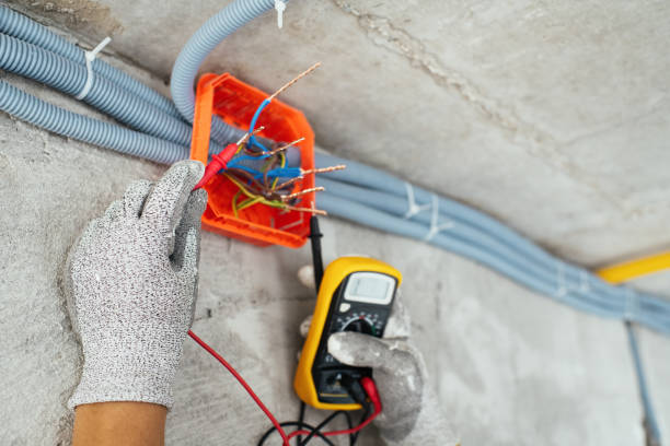 Best Local Electrician Companies  in Ellsworth, WI