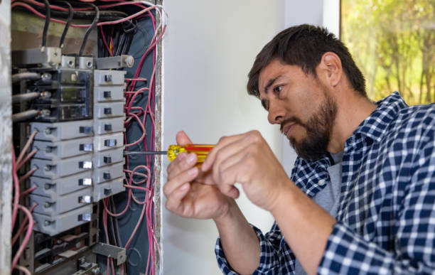 Best Electrical System Inspection  in Ellsworth, WI
